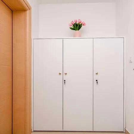 Mario Brodarica (Sibenik-Knin)