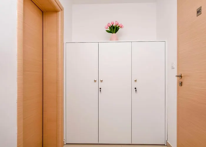 Mario 布罗达里卡